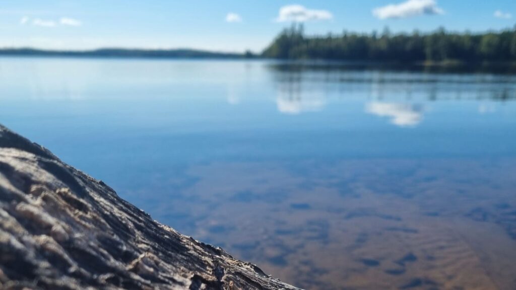 Einzelner Stein im Wasser – Fokus auf das Wesentliche und Symbol für bewusste Klarheit im Business