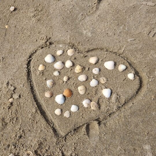 Herz aus Muscheln im Sand – Symbol für bewussten Minimalismus, Klarheit im Business und die Liebe zum Wesentlichen